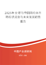 2025年全球與中國錦綸絲市場現狀調查與未來發展趨勢報告