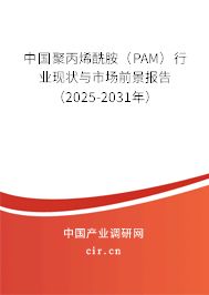 中國聚丙烯酰胺（PAM）行業現狀與市場前景報告（2025-2031年）
