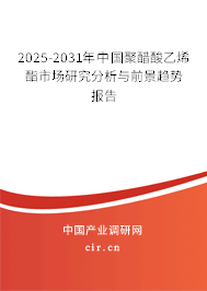 2025-2031年中國聚醋酸乙烯酯市場研究分析與前景趨勢報(bào)告