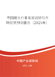 中國磨頭行業發展調研與市場前景預測報告（2024年）