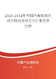 2025-2031年中國汽車玻璃天線市場調查研究與行業前景分析