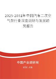 2025-2031年中國汽車二次空氣泵行業深度調研與發展趨勢報告