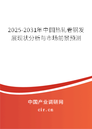 2025-2031年中國(guó)熱軋卷鋼發(fā)展現(xiàn)狀分析與市場(chǎng)前景預(yù)測(cè)