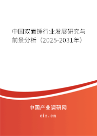 中國雙面錘行業發展研究與前景分析（2025-2031年）