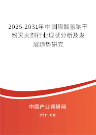 2025-2031年中國碳酸氫鈉干粉滅火劑行業現狀分析及發展趨勢研究