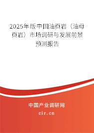 2025年版中國油頁巖（油母頁巖）市場調研與發展前景預測報告