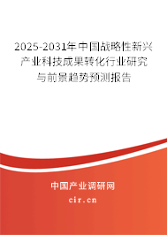 2025-2031年中國戰略性新興產業科技成果轉化行業研究與前景趨勢預測報告