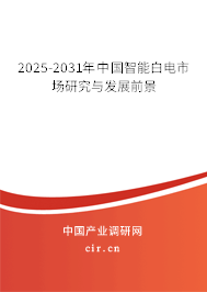2025-2031年中國智能白電市場研究與發展前景