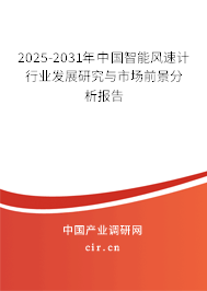 2025-2031年中國智能風速計行業發展研究與市場前景分析報告