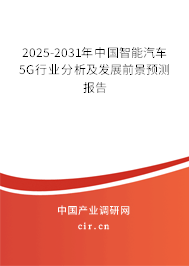 2025-2031年中國智能汽車5G行業分析及發展前景預測報告