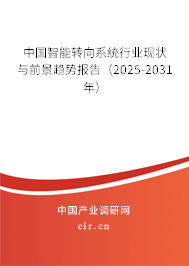 中國智能轉(zhuǎn)向系統(tǒng)行業(yè)現(xiàn)狀與前景趨勢報(bào)告（2024-2030年）