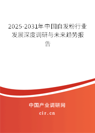 2024-2030年中國自發粉行業發展深度調研與未來趨勢報告