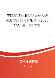 中國足球行業現狀調研及未來發展趨勢分析報告（2025-2031年）(已下架)