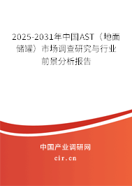 2025-2031年中國AST（地面儲(chǔ)罐）市場調(diào)查研究與行業(yè)前景分析報(bào)告