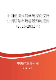 中國便攜式鋼絲繩探傷儀行業調研與市場前景預測報告（2025-2031年）