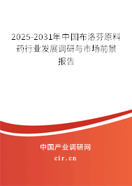 2025-2031年中國布洛芬原料藥行業發展調研與市場前景報告