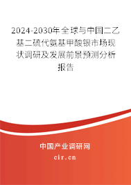 2024-2030年全球與中國二乙基二硫代氨基甲酸銀市場現(xiàn)狀調(diào)研及發(fā)展前景預(yù)測分析報(bào)告