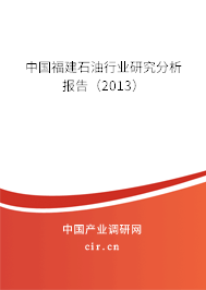 中國福建石油行業研究分析報告（2013）