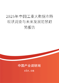2025年中國工業大數據市場現狀調查與未來發展前景趨勢報告