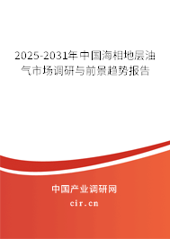 2025-2031年中國海相地層油氣市場調研與前景趨勢報告
