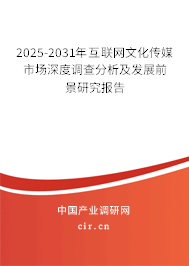 2025-2031年互聯網文化傳媒市場深度調查分析及發展前景研究報告
