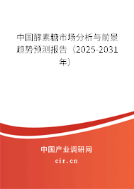 中國酵素糖市場分析與前景趨勢預測報告（2025-2031年）