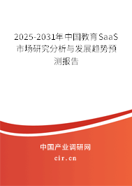 2025-2031年中國教育SaaS市場研究分析與發展趨勢預測報告