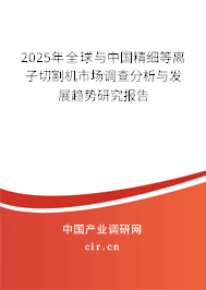 2025年全球與中國精細等離子切割機市場調查分析與發(fā)展趨勢研究報告