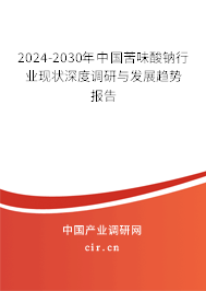 2024-2030年中國苦味酸鈉行業現狀深度調研與發展趨勢報告