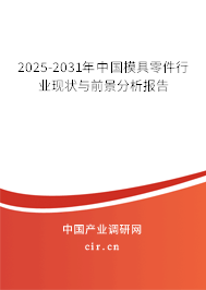 2025-2031年中國(guó)模具零件行業(yè)現(xiàn)狀與前景分析報(bào)告