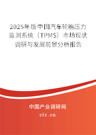 2025年版中國汽車輪胎壓力監測系統（TPMS）市場現狀調研與發展前景分析報告