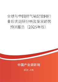 全球與中國燃氣輸配管網行業現狀調研分析及發展趨勢預測報告（2025年版）