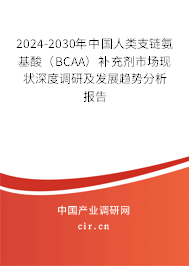 2024-2030年中國人類支鏈氨基酸（BCAA）補充劑市場現狀深度調研及發展趨勢分析報告