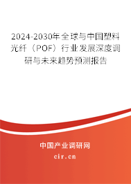 2024-2030年全球與中國塑料光纖（POF）行業發展深度調研與未來趨勢預測報告