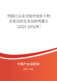 中國芯層發泡管材管件市場深度調研及發展趨勢報告（2025-2031年）