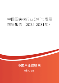 中國壓鑄模行業(yè)分析與發(fā)展前景報(bào)告（2025-2031年）