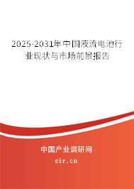 2025-2031年中國液流電池行業現狀與市場前景報告