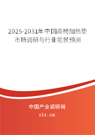 2024-2030年中國座椅加熱墊市場調(diào)研與行業(yè)前景預(yù)測