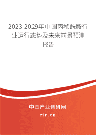 2023-2029年中國丙稀酰胺行業運行態勢及未來前景預測報告