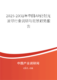 2025-2031年中國AR衍射光波導行業調研與前景趨勢報告