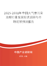 2025-2031年中國大氣汞污染治理行業發展現狀調研與市場前景預測報告
