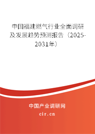 中國福建燃氣行業全面調研及發展趨勢預測報告（2025-2031年）