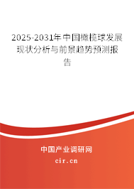 2025-2031年中國橄欖球發展現狀分析與前景趨勢預測報告