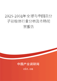 2025-2031年全球與中國高分子駐極體行業(yè)分析及市場前景報告