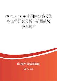 2025-2031年中國集裝箱衍生物市場研究分析與前景趨勢預測報告