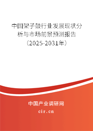 中國架子鼓行業發展現狀分析與市場前景預測報告（2025-2031年）