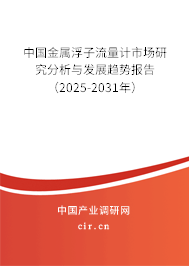 中國金屬浮子流量計市場研究分析與發展趨勢報告（2025-2031年）