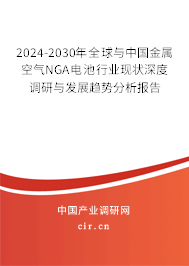 2024-2030年全球與中國金屬空氣NGA電池行業現狀深度調研與發展趨勢分析報告