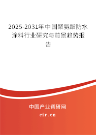 2025-2031年中國聚氨酯防水涂料行業研究與前景趨勢報告