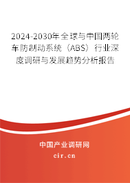 2024-2030年全球與中國兩輪車防制動系統(tǒng)（ABS）行業(yè)深度調(diào)研與發(fā)展趨勢分析報(bào)告